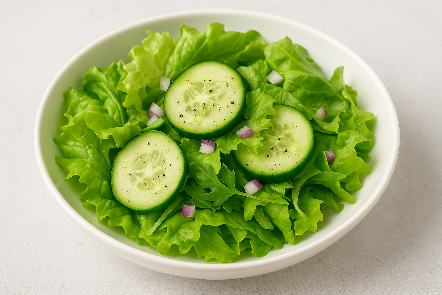 SanaSlank Komkommersla (12)