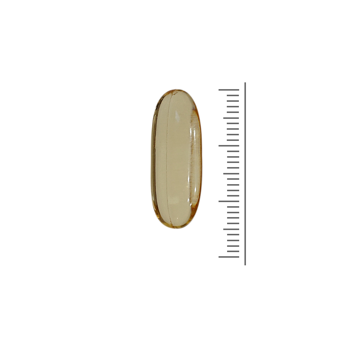 Omega 3-6-9 Fischöl EPA DHA