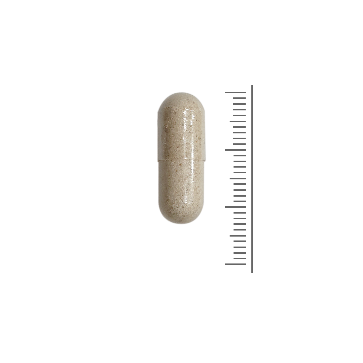 Ballaststoffe für einen besseren Stuhlgang