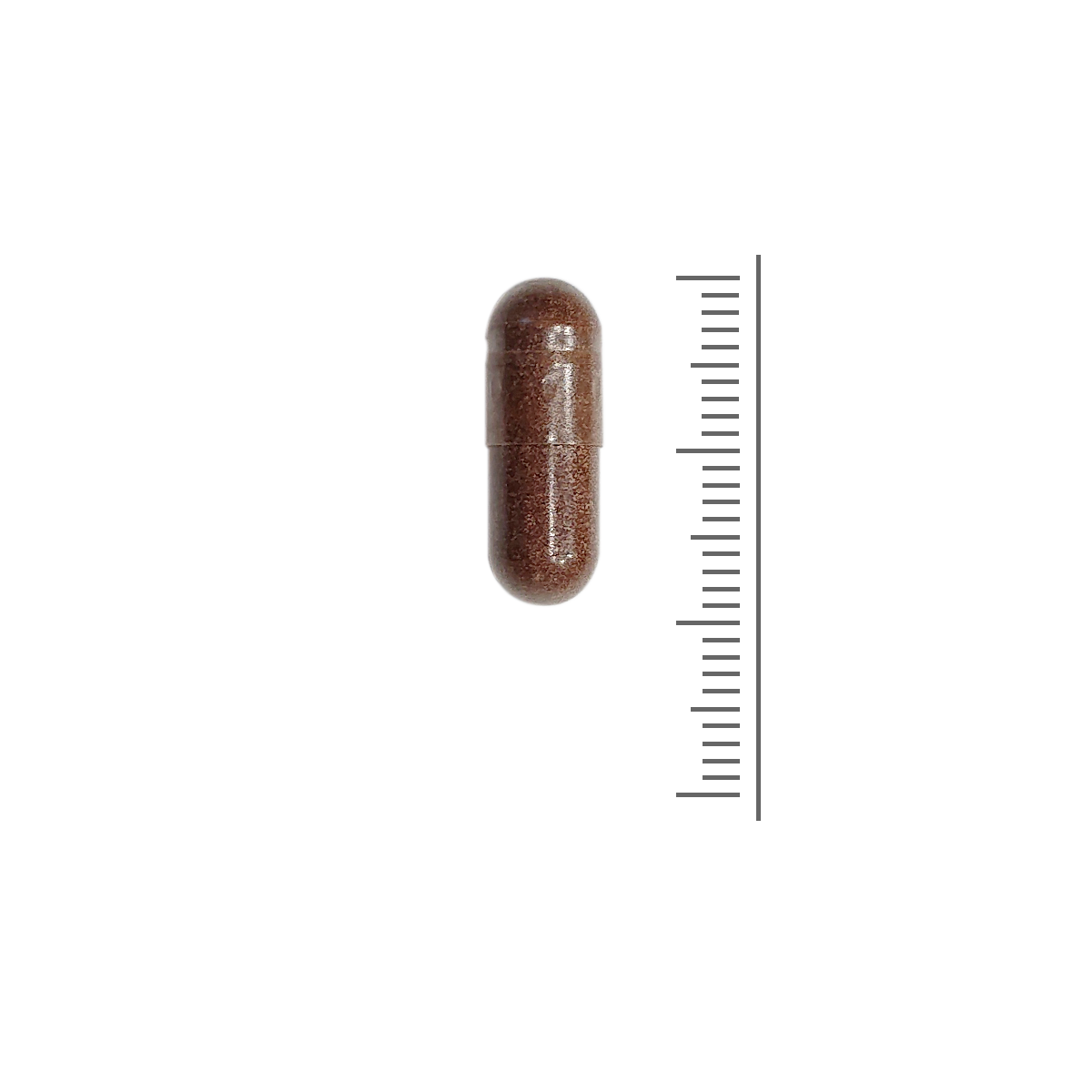 SanaSlank Fett- und Zuckerkontrolle